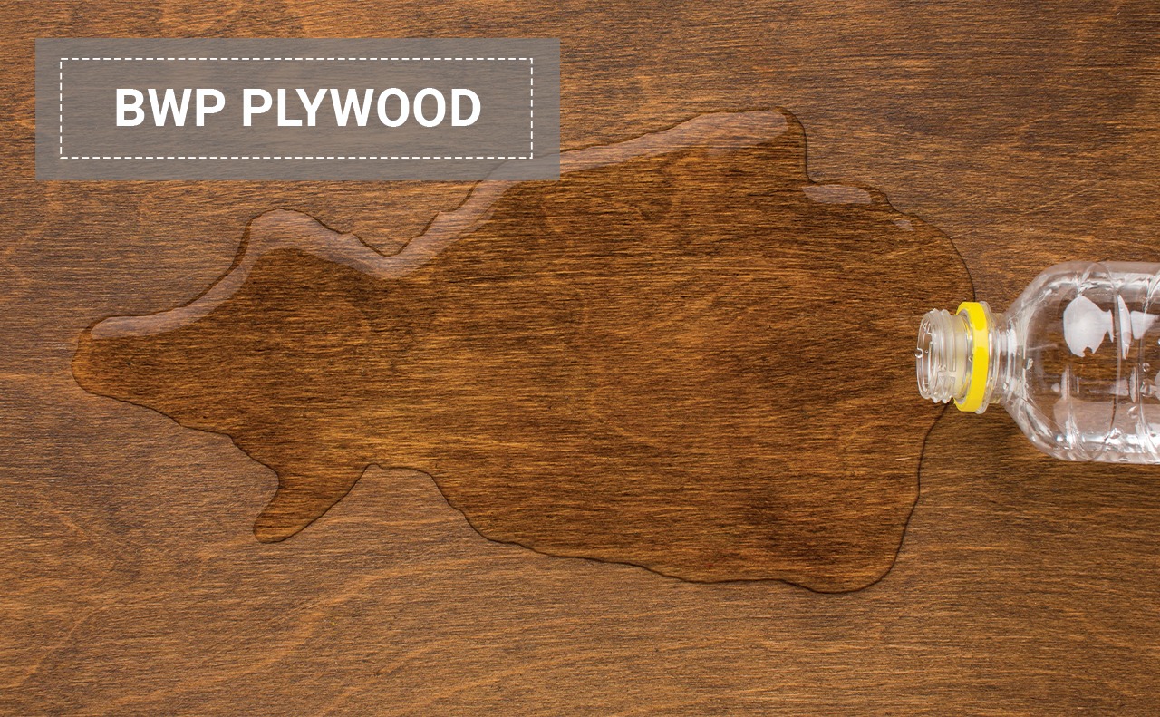 BWP Plywood